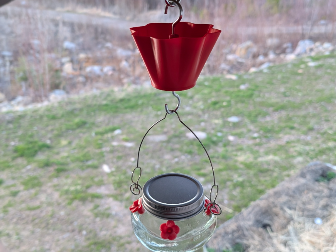Fossé anti-fourmis pour colibri