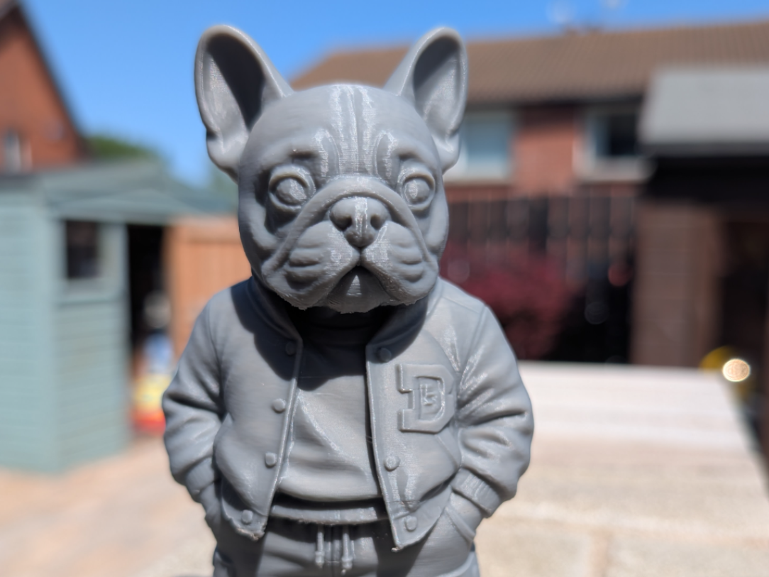 Cool French Bulldog