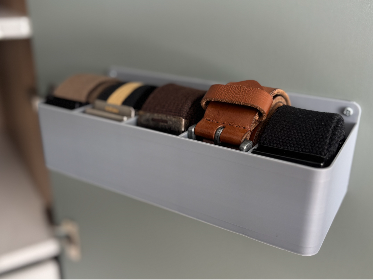 Belt organizer