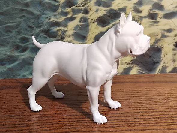 American Bully XL