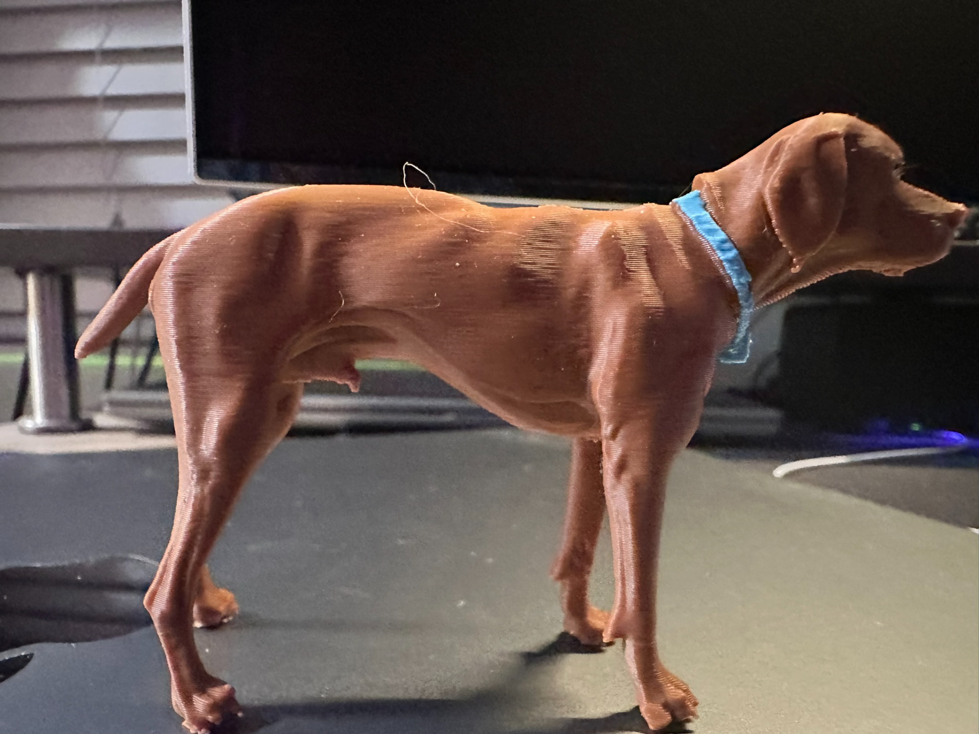 Stone Vizsla Male Standing Position