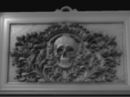 Skull relief