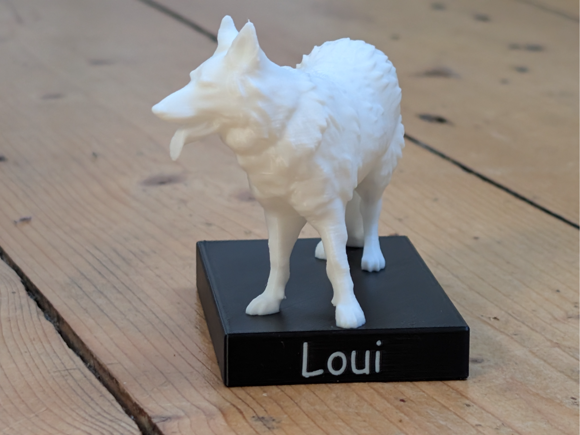 White Shepard with customizable Name
