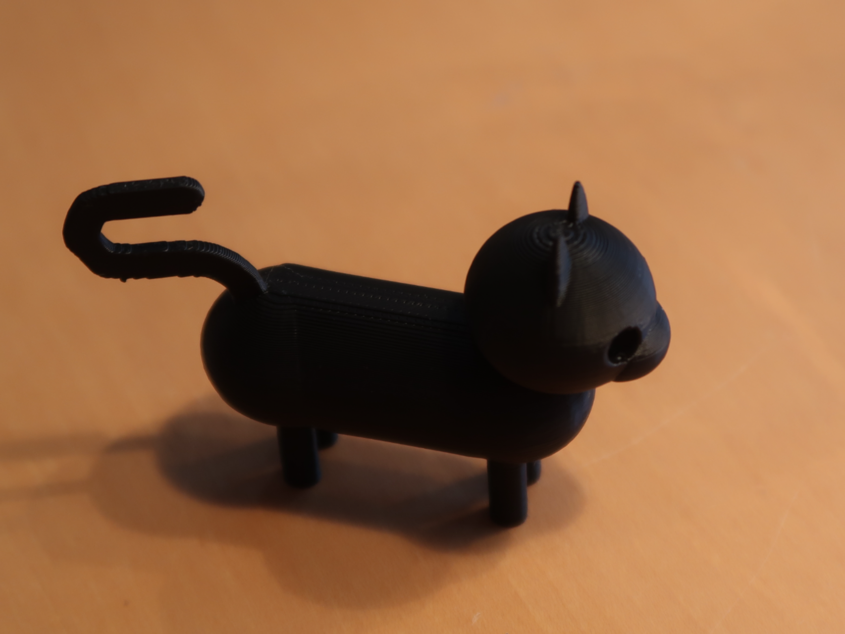 Katze