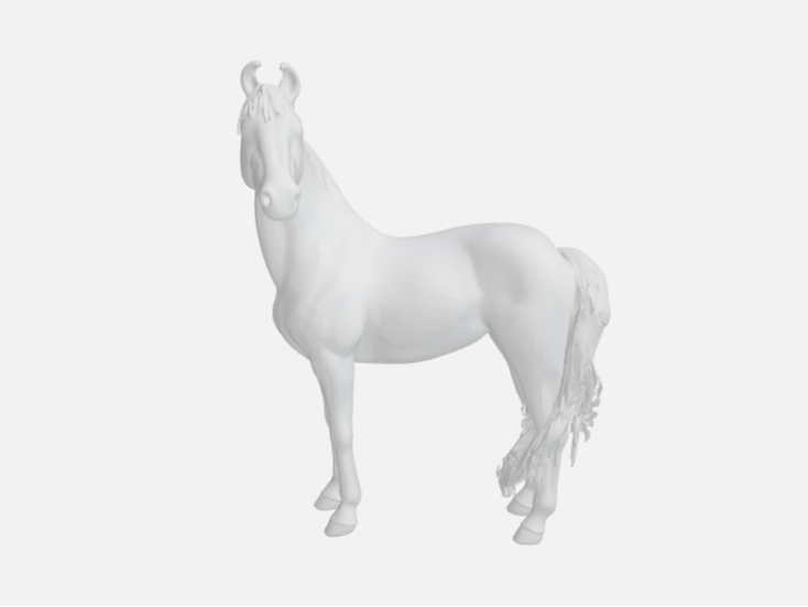 Marwari horse