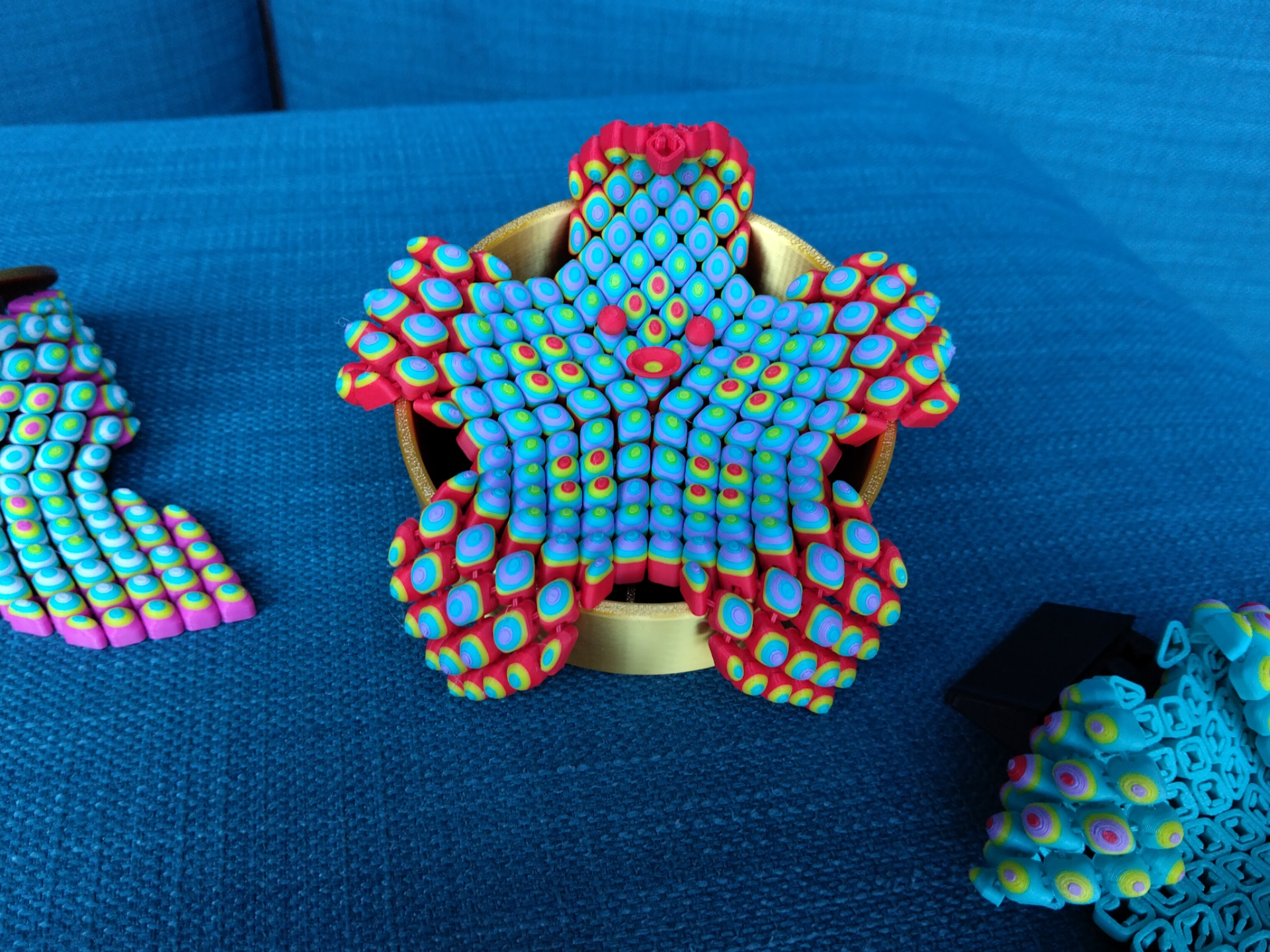 Susie The Symmetrical Flexi Starfish