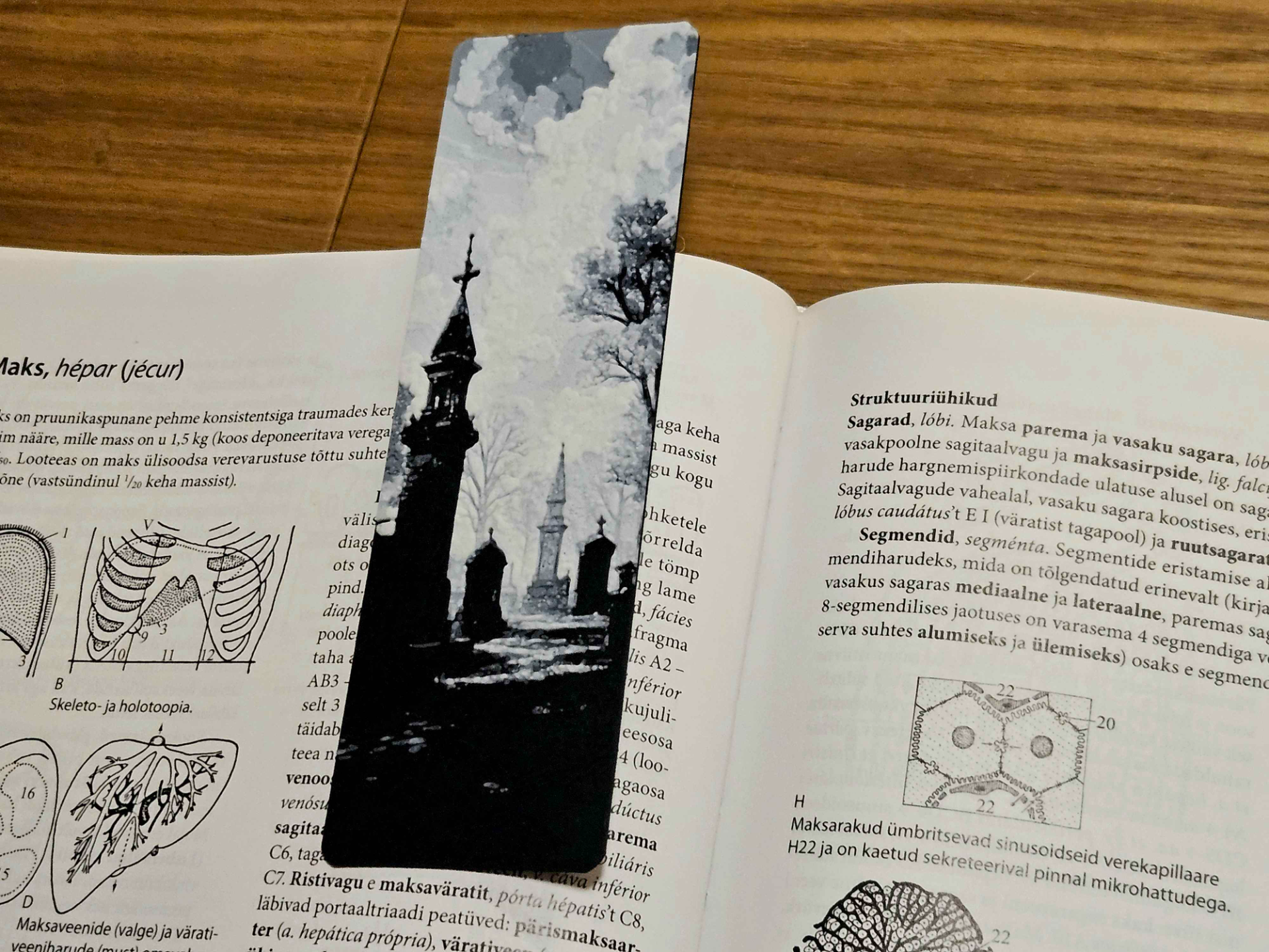 Cemetery Bookmark