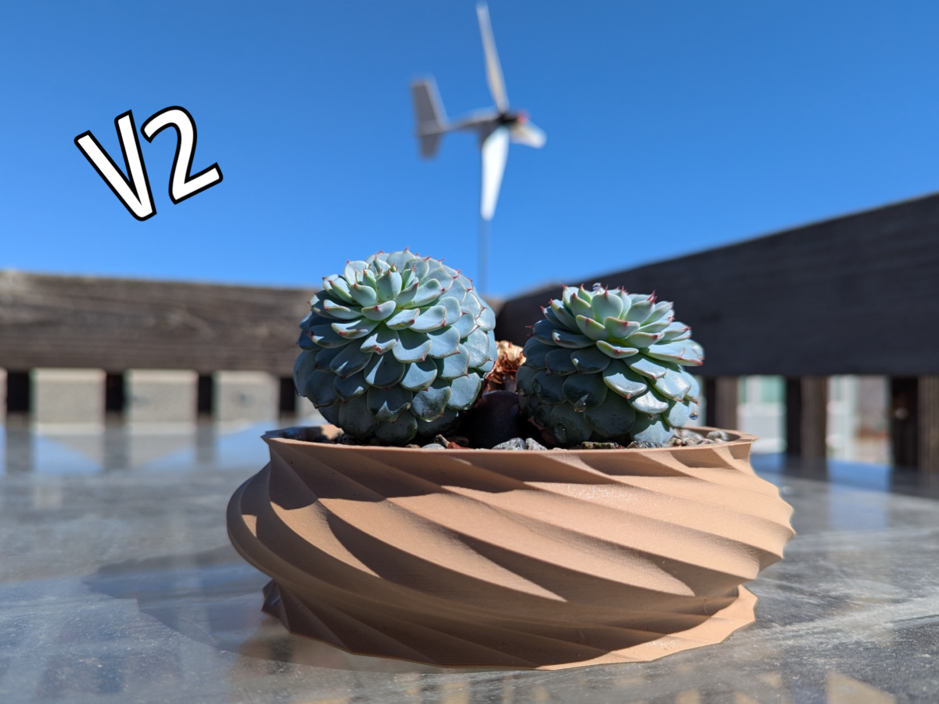 Whirlpool Succulent Planter