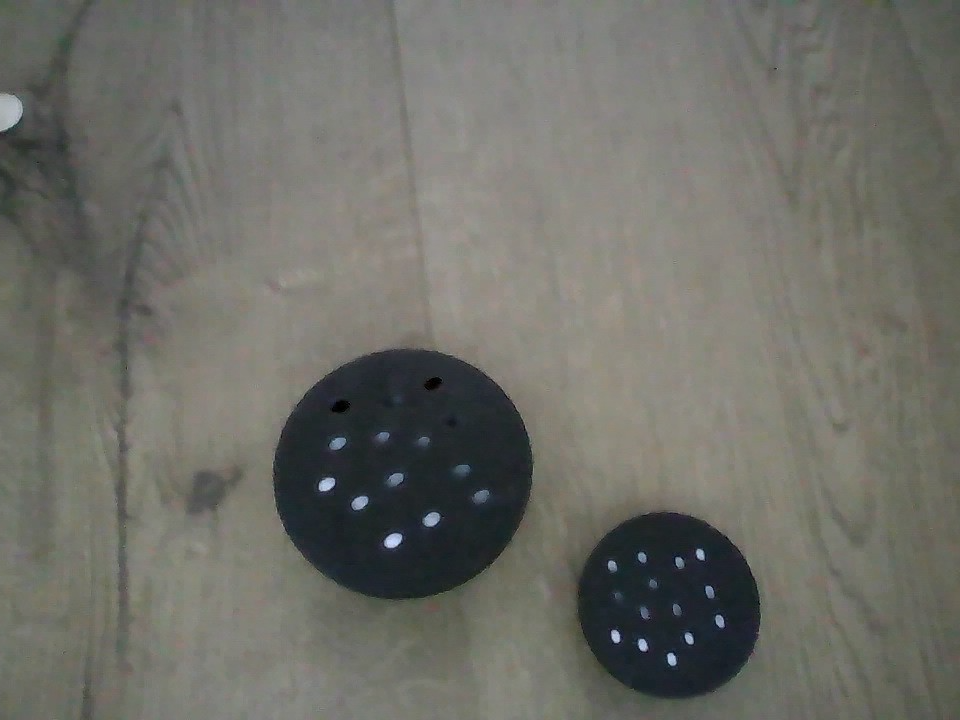 bug holding box with airholes