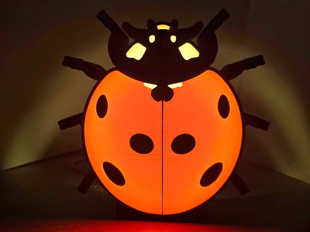 Lady Bug Light Box