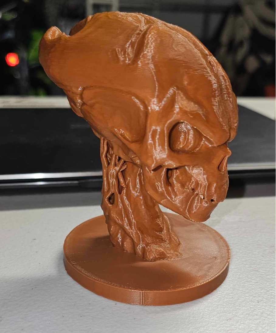 Alien Skull