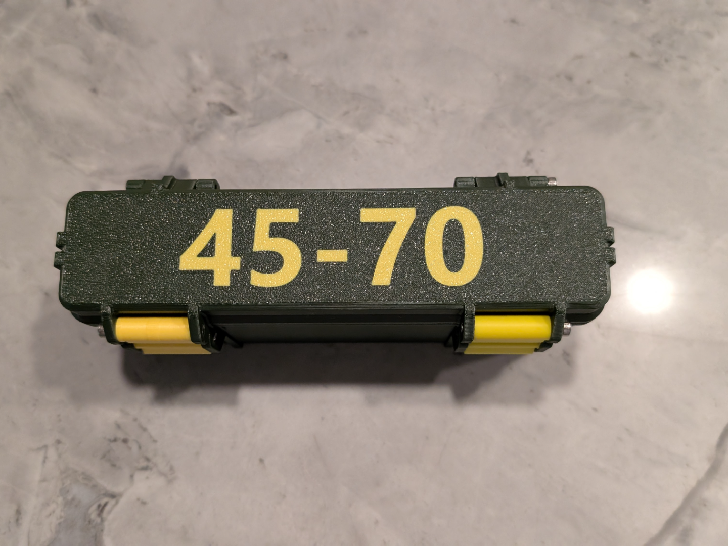 45-70 GOVT 20rnd Bullet Down Ammo Box