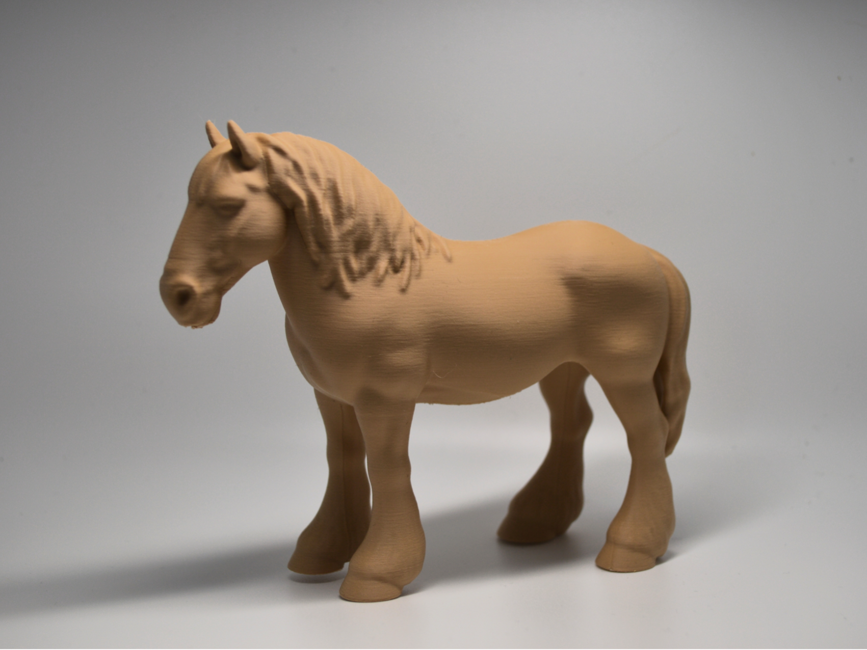 Shire horse