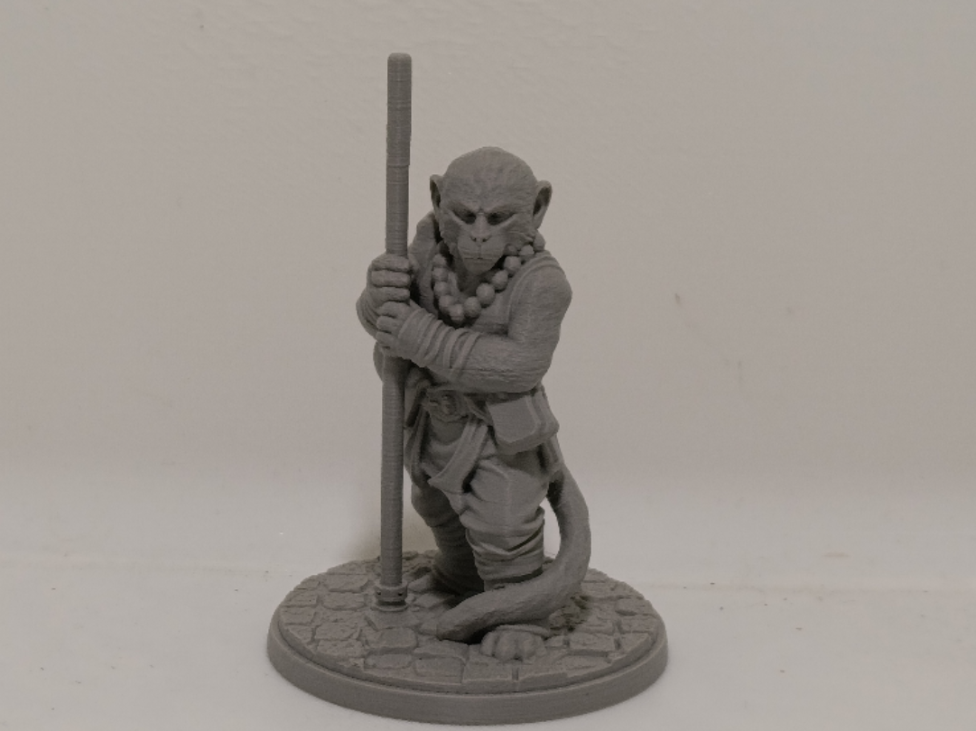 supportless shaolin monkey (dnd monk)