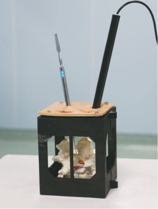 Vertebra for endoscopic spine surgery training