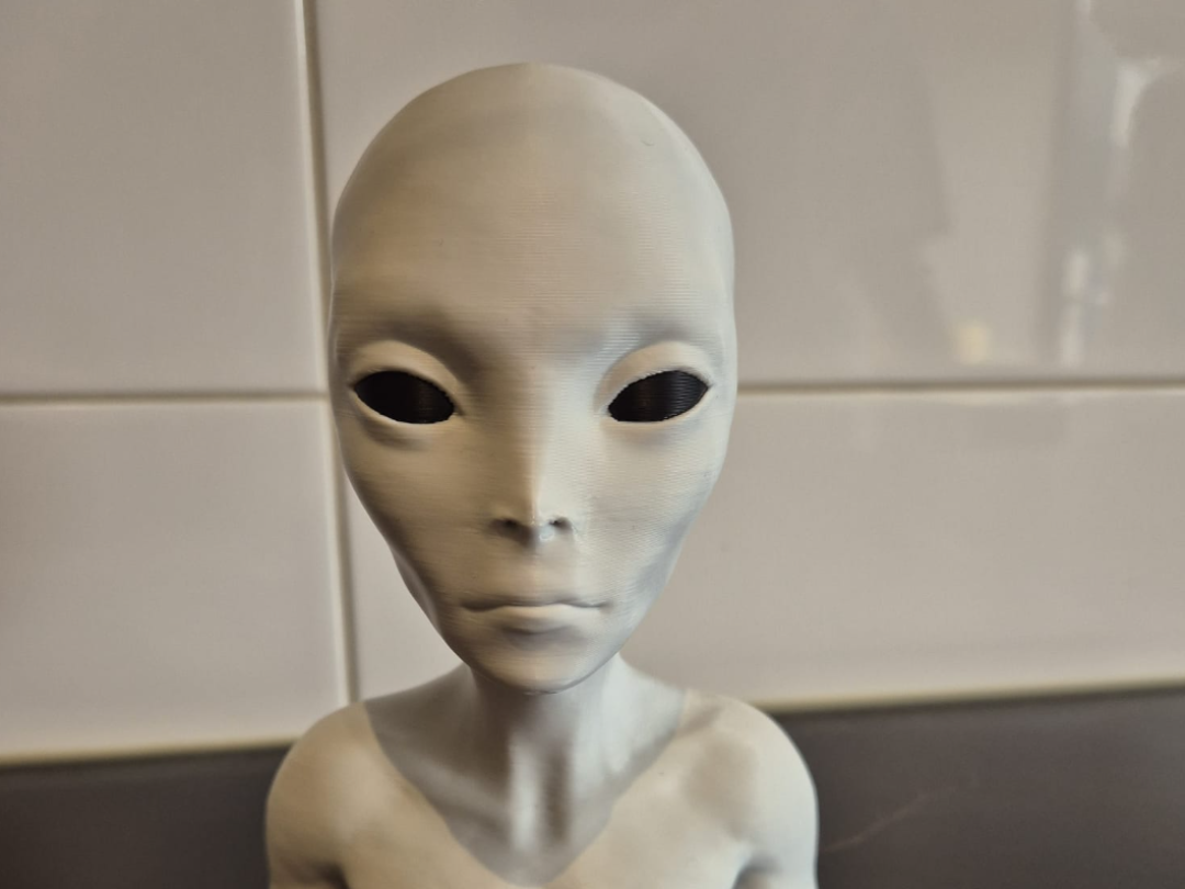 friendly grey alien