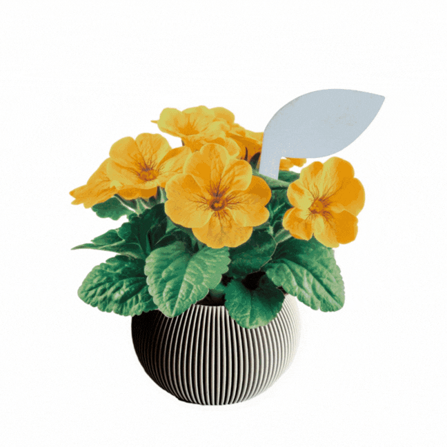 Cartel Identificador de plantas · Hoja decorativa