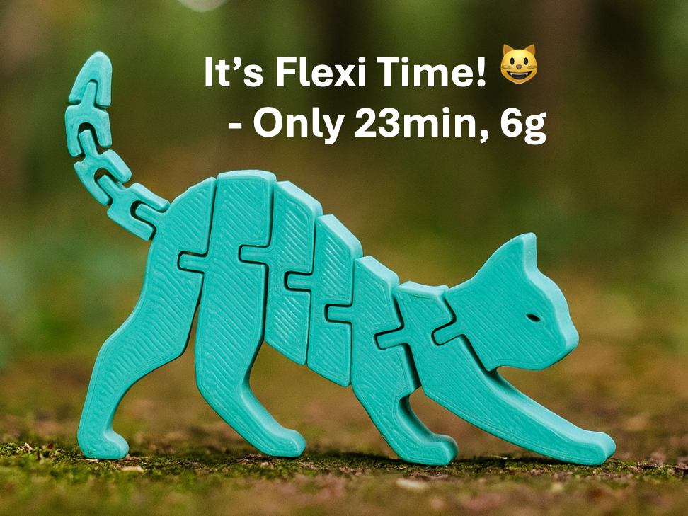 Flexi Walking Cat - Keychain