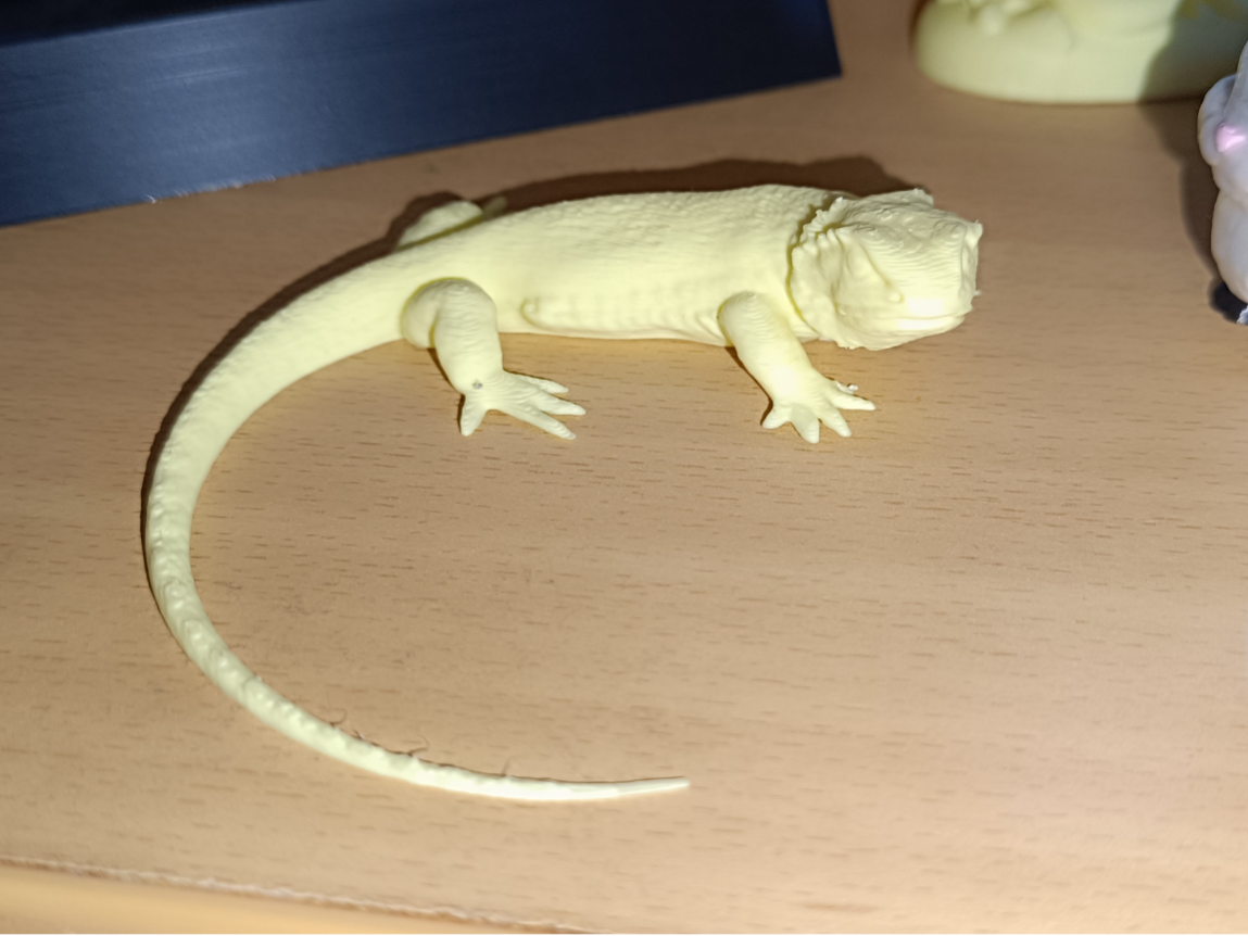 Realistic Lizard - Detailed Reptile Model
