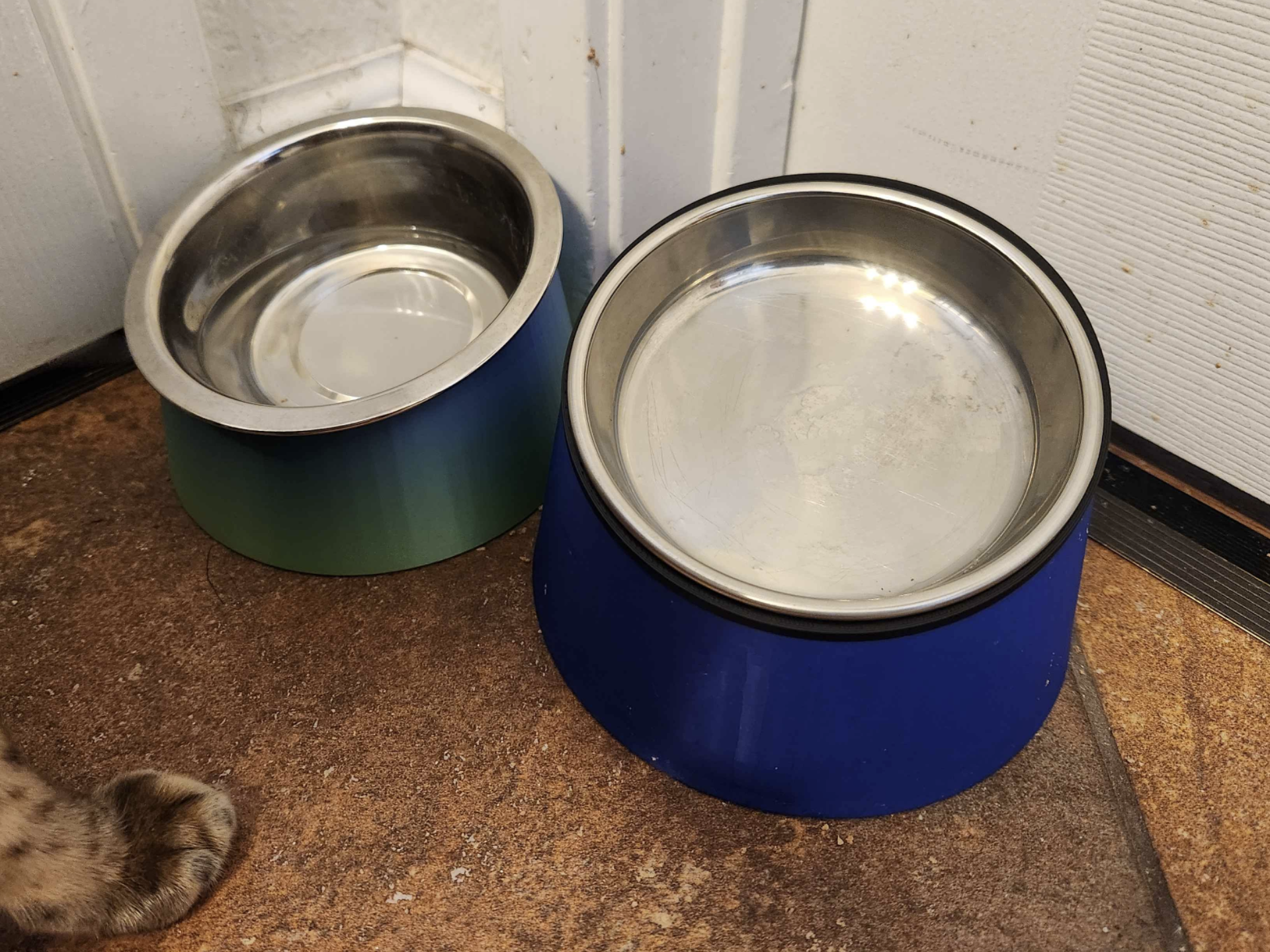 Angled Ergo Pet Food Bowl Riser