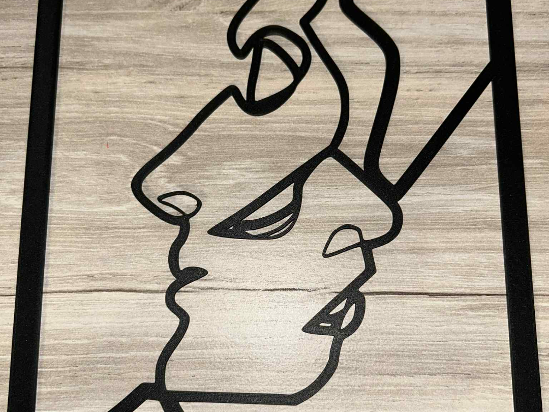 Art Minimaliste visage entrelacée