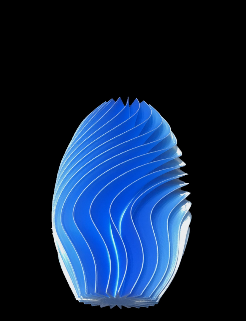 fin_tastic vase