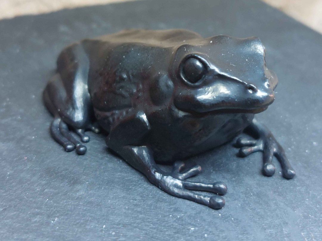 Detailed Frog