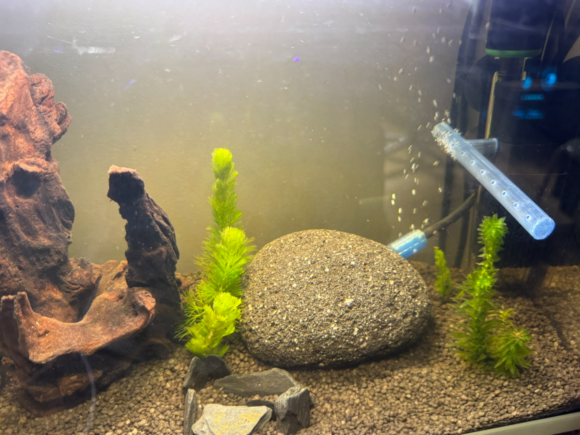 Wide-Flow Nozzle for aquarium Ciano CF20
