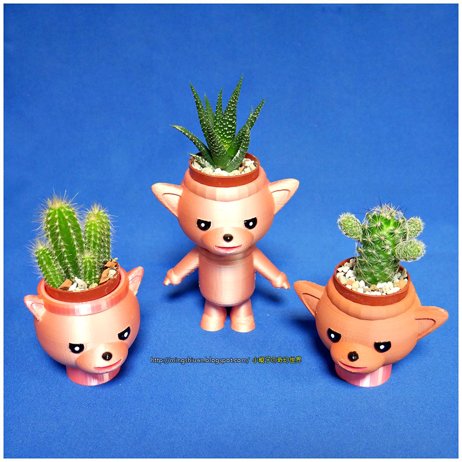 Cute animal - Fox