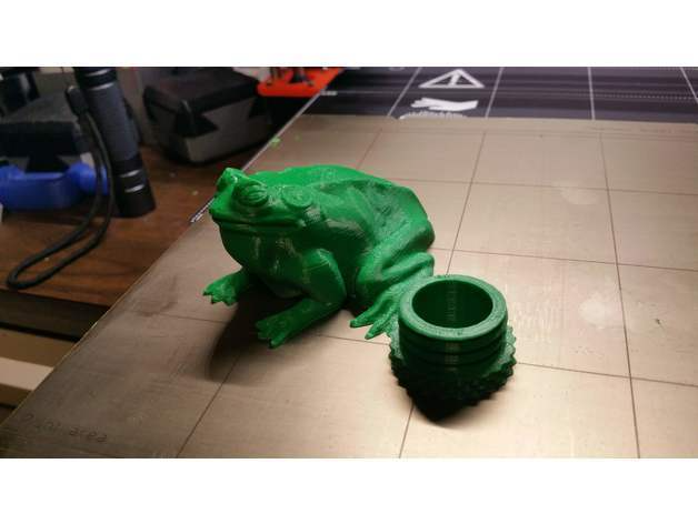 Frog Geocache