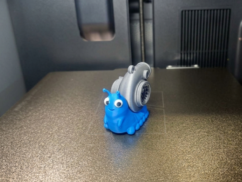 Turbo  Snail keychain multicolor