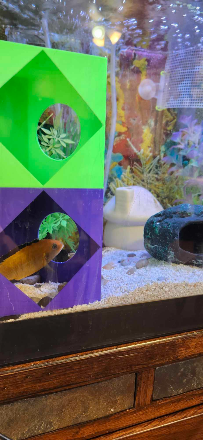 Fish Cave / Hideout