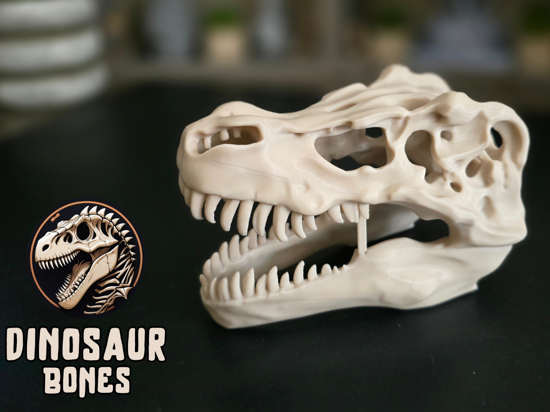 T-Rex Bone Skull