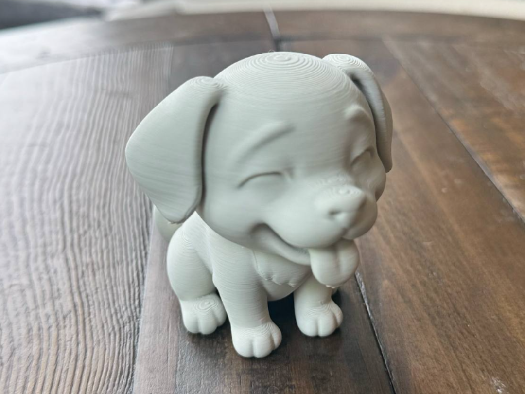 Happy Dog Labrador