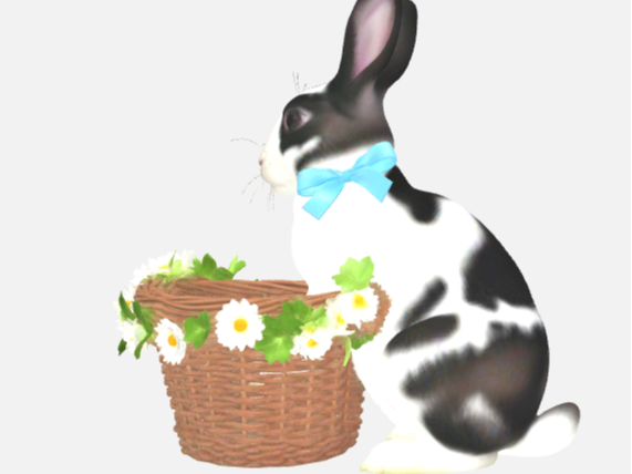 Easter Rabbit Candy Basket