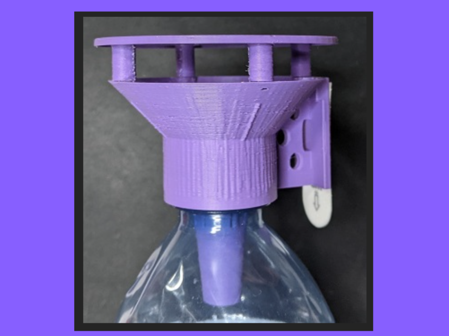 Kirkland Water Bottle Wasp Trap Canada