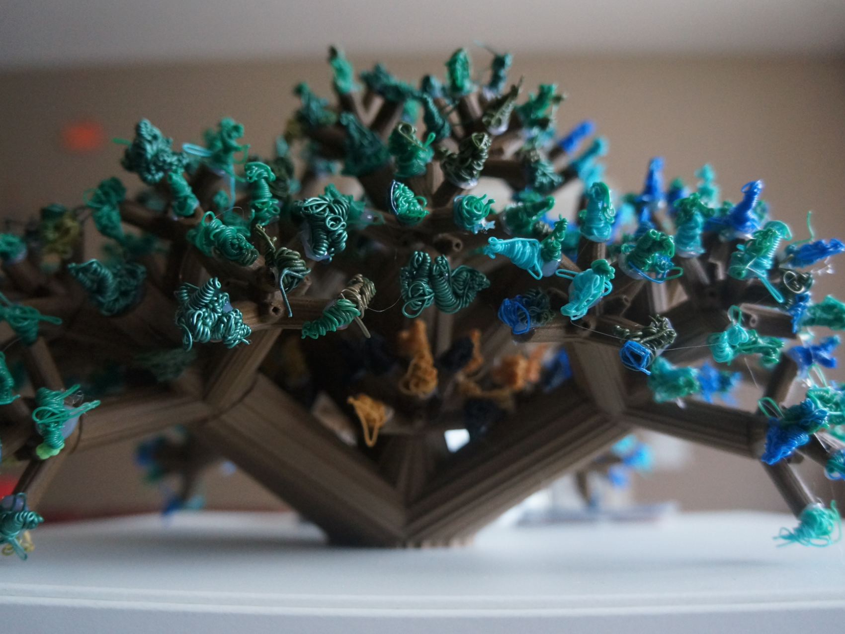 Purge shrub