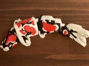 Multicolor flexi showa koi