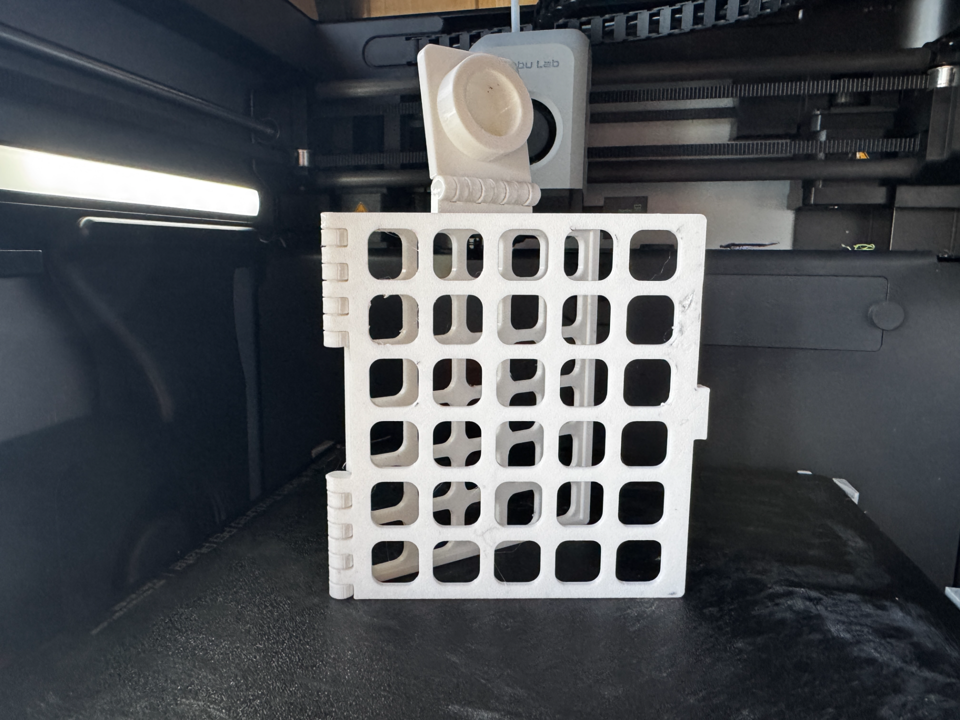 Algae holder for fish tanks