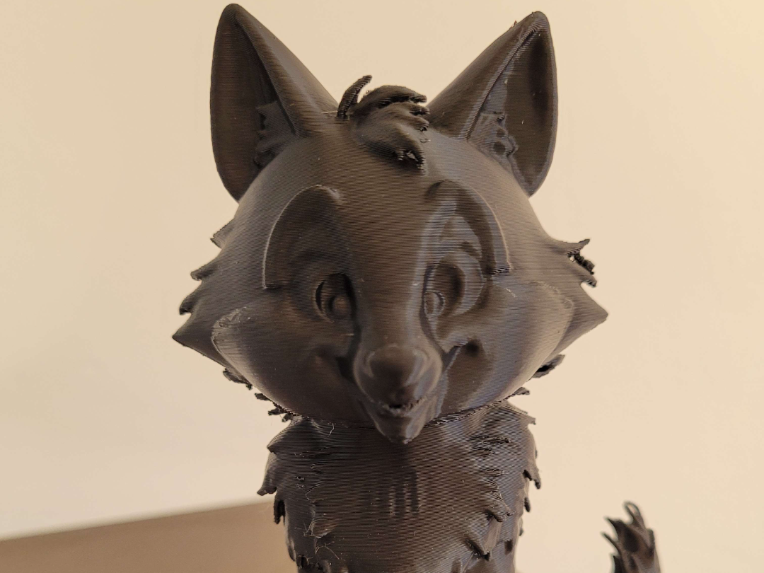 Un jeune renard souriant