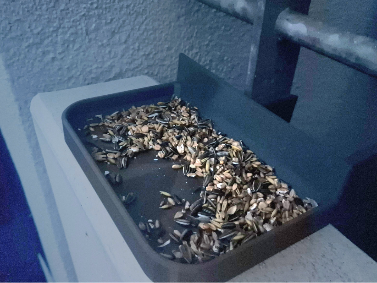 Futternapf für Vögel