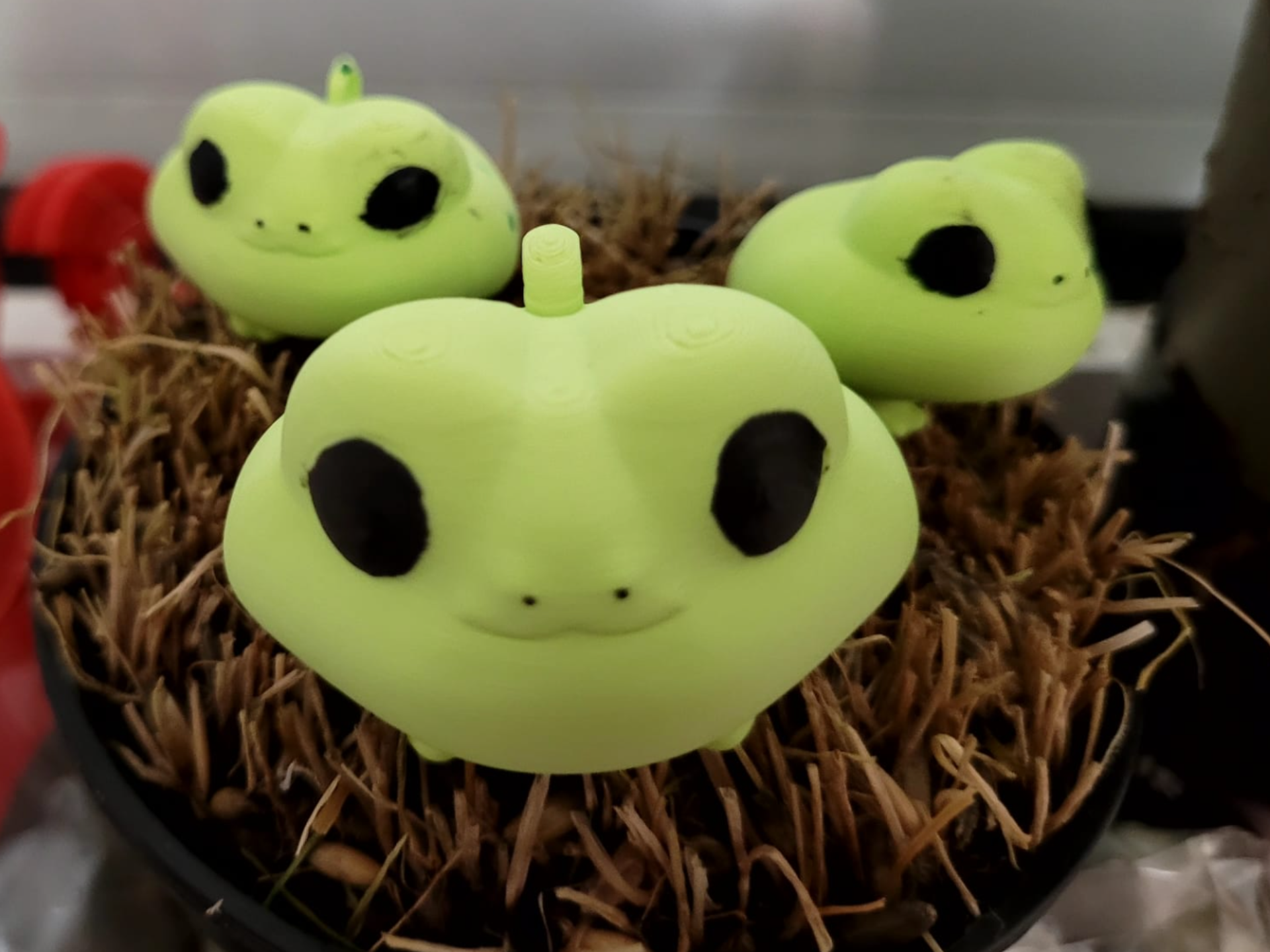 Buttfrog