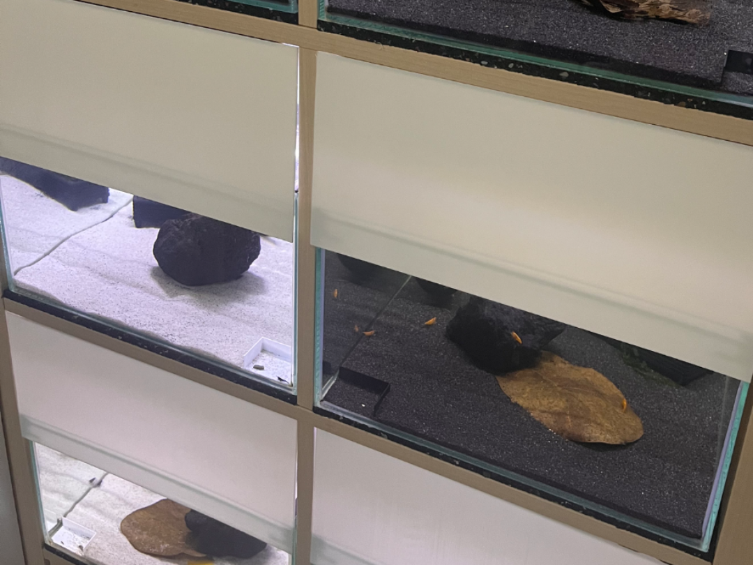 Kallax Aquarium Abdeckung