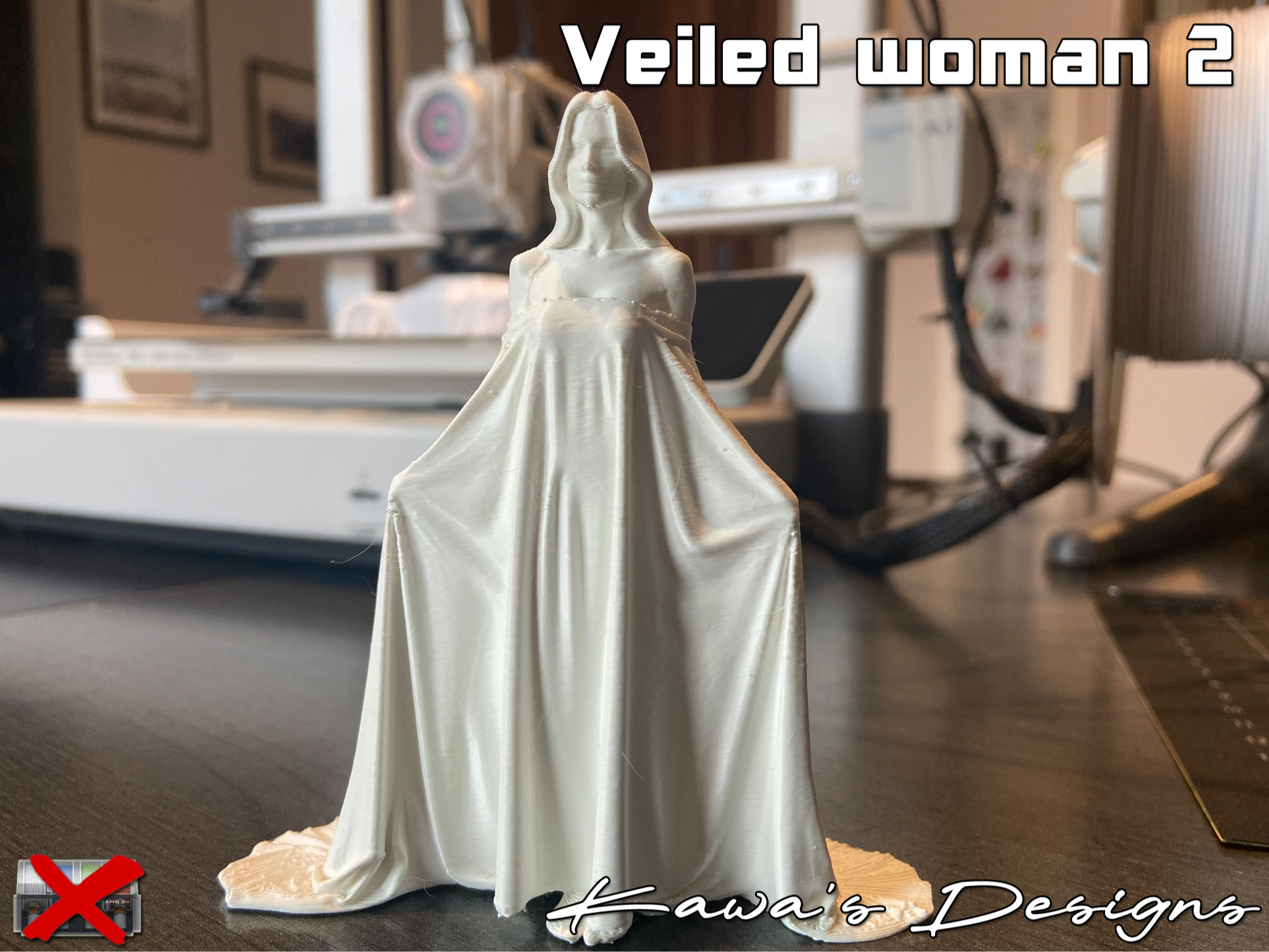 Veiled Woman 2
