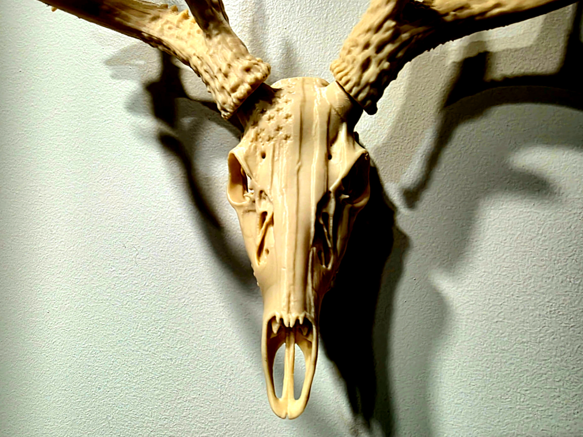 "Merica!" 3.0 - BAS Antler Mount Deer Skull
