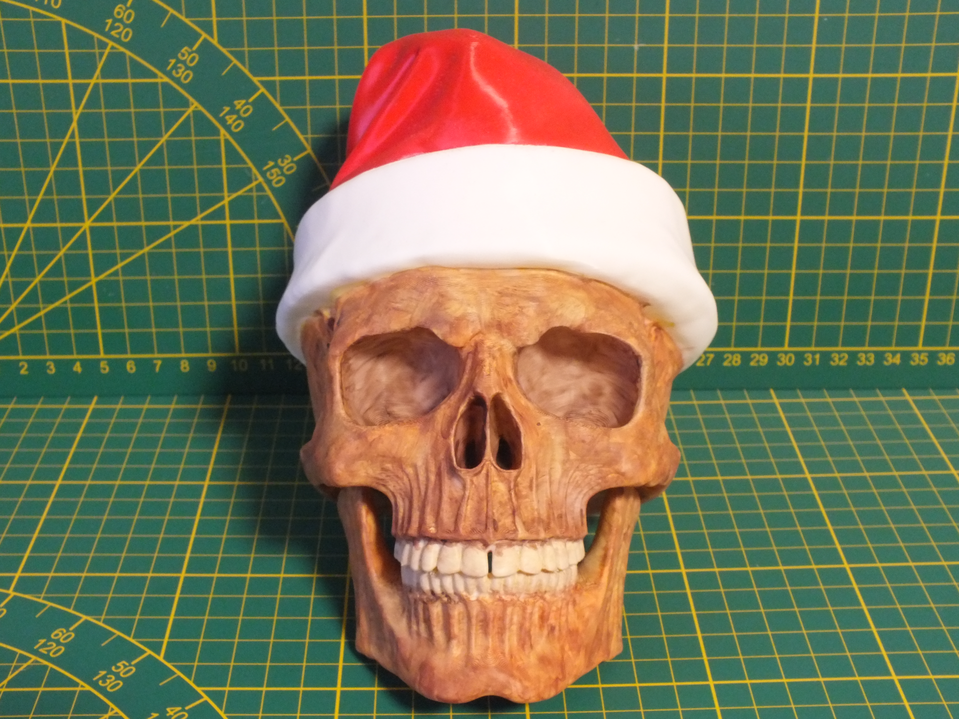 Skull with Christmas Hat