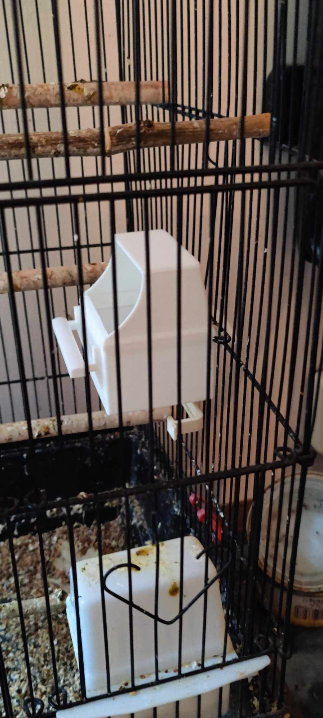 Bird cage feeder