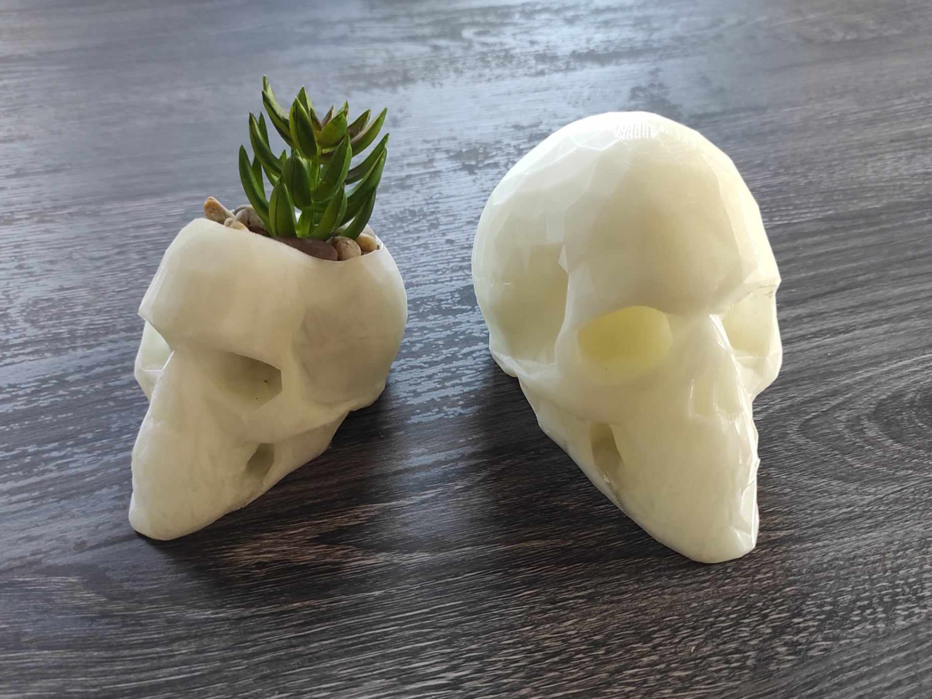 Low Poly Skull Planter