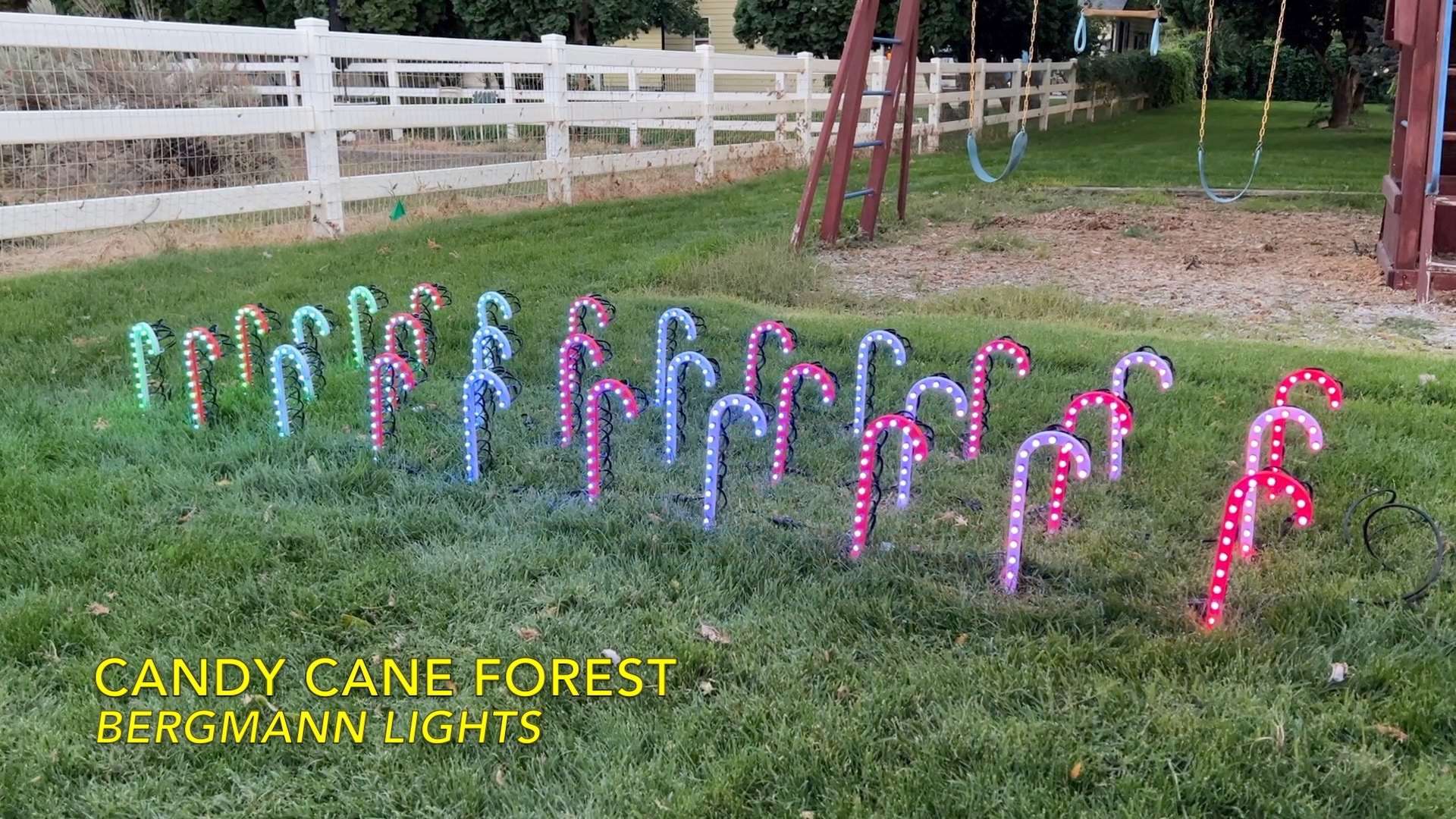 Candy Cane Forrest