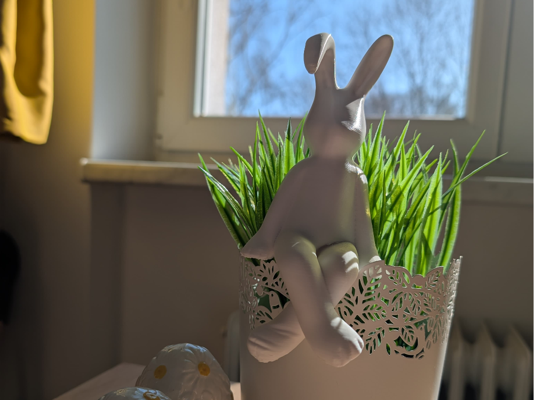 bunny on the edge